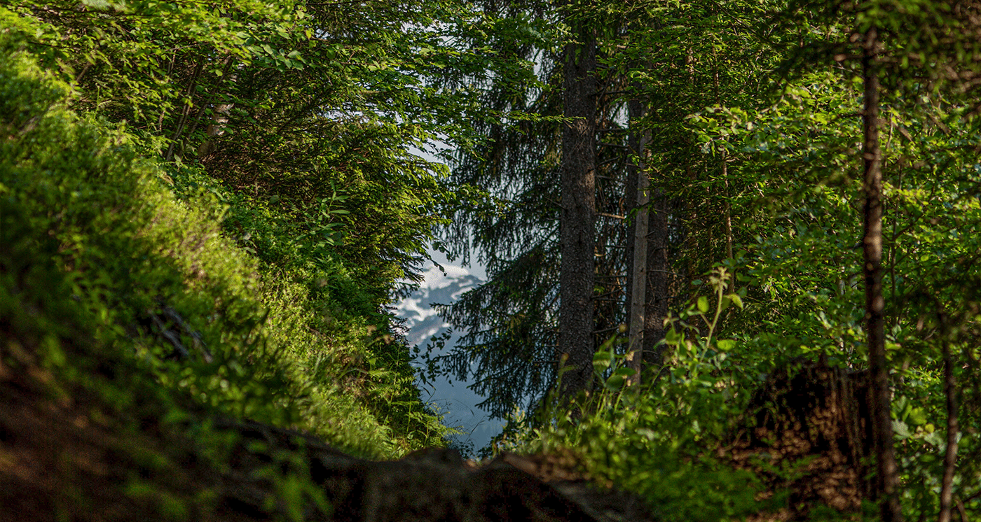 Weg zur frohen Aussicht