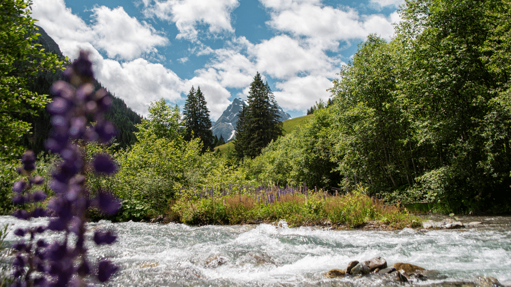 Sommertag in Gargellen
