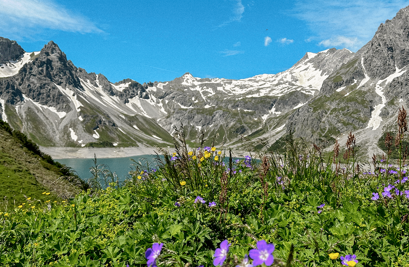 Blumen und Panorama am Lünersee