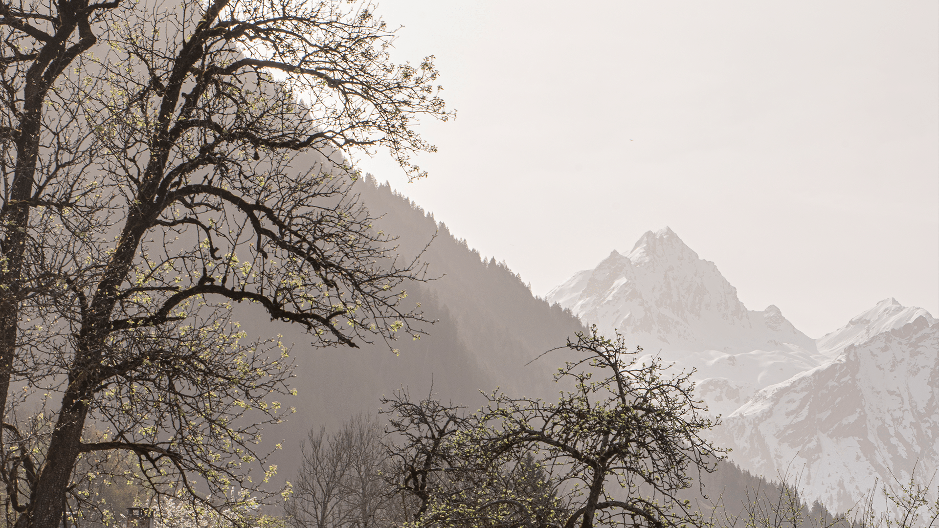 Frühling im Montafon