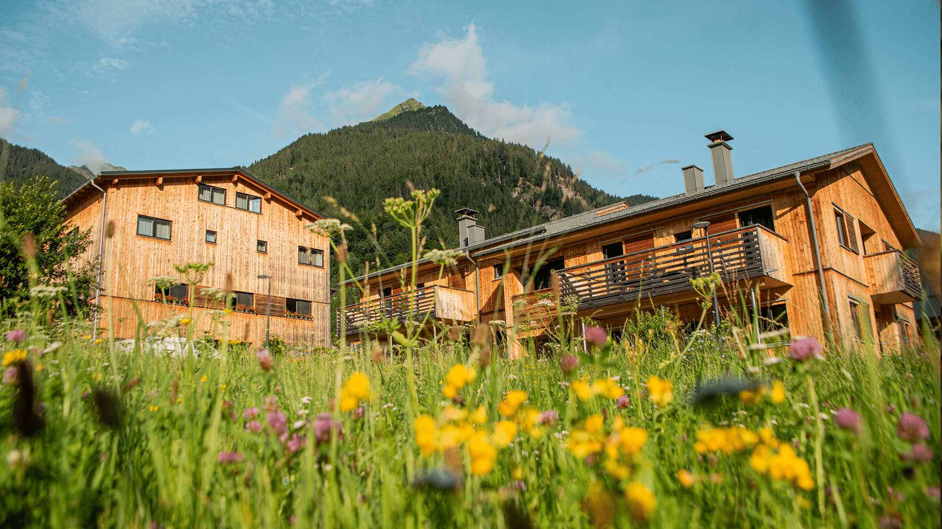Panoramablick im Montafon