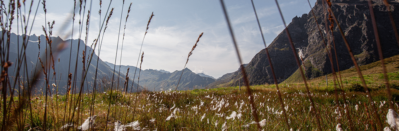 Sommer Gargellen Montafon