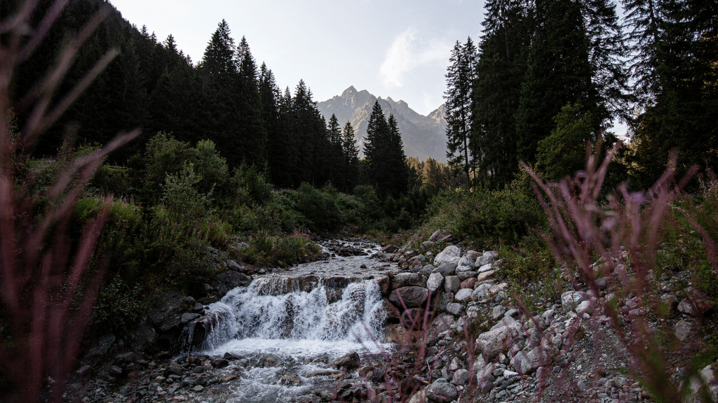 Fluss Montafon
